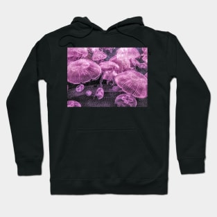 Jelly Moon Hoodie